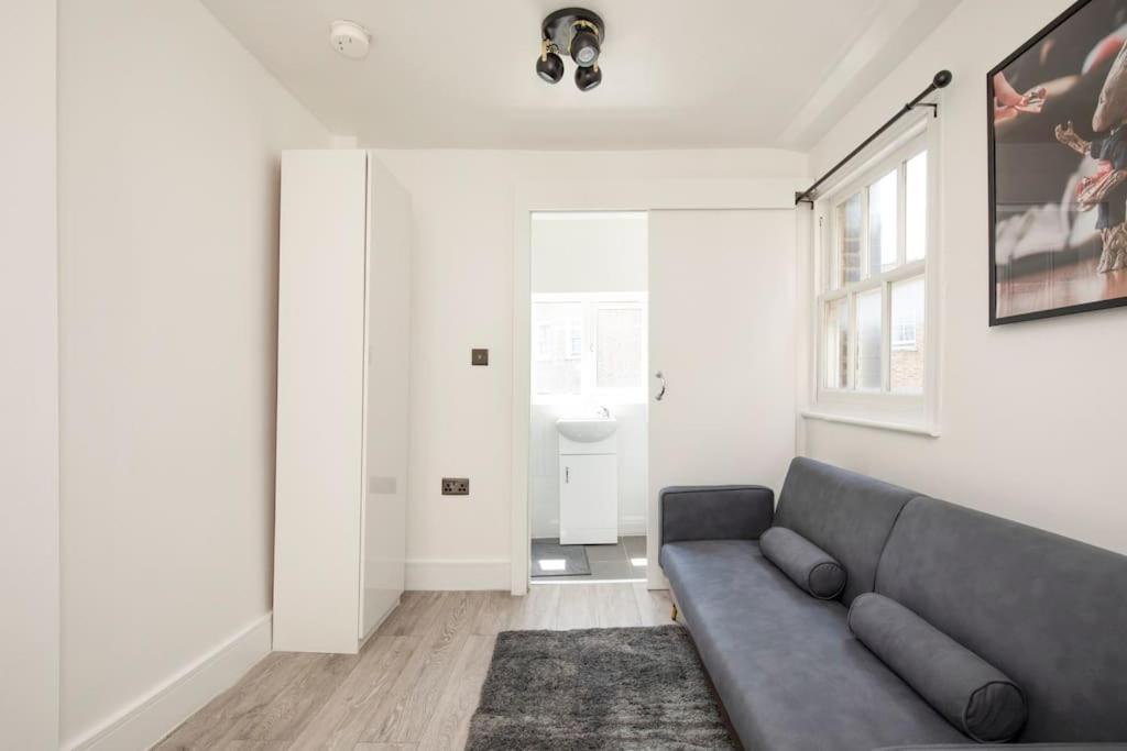 Spacious Serenity In The Heart Of Central לונדון מראה חיצוני תמונה